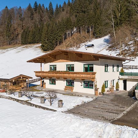 Апартаменты Haus Am Waldrand Хопфгартен-им-Бриксенталь Экстерьер фото